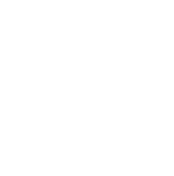 decoration image